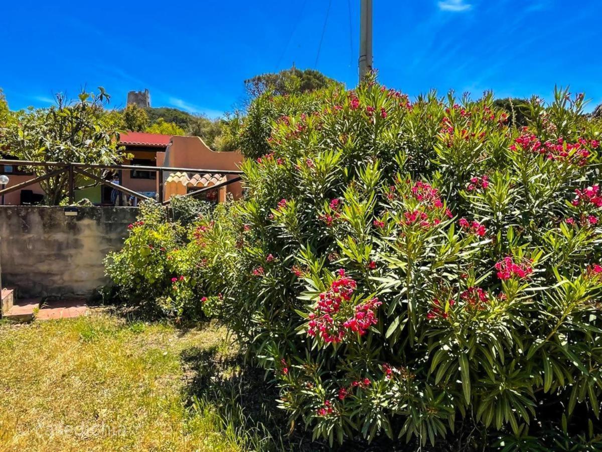 Torre Di Chia Holiday Home 외부 사진